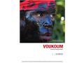 Lire l'article