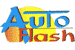 Auto Flash