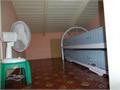 Annonce 124413537672545