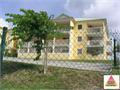 Annonce 21721104483036
